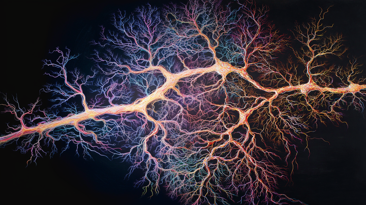 Når nervesystemet er på overarbejde