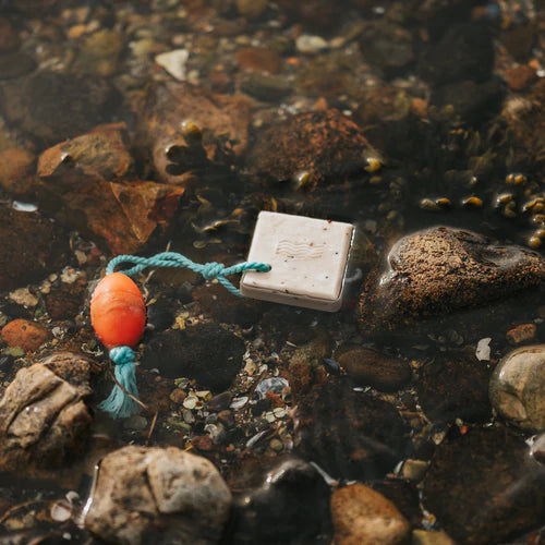 Ærø Soap | Saltvandssæbe med Tang